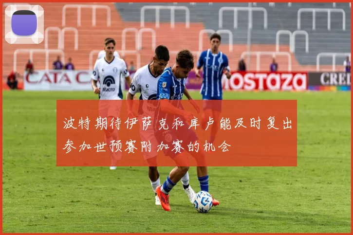 波特期待伊萨克和库卢能及时复出参加世预赛附加赛的机会